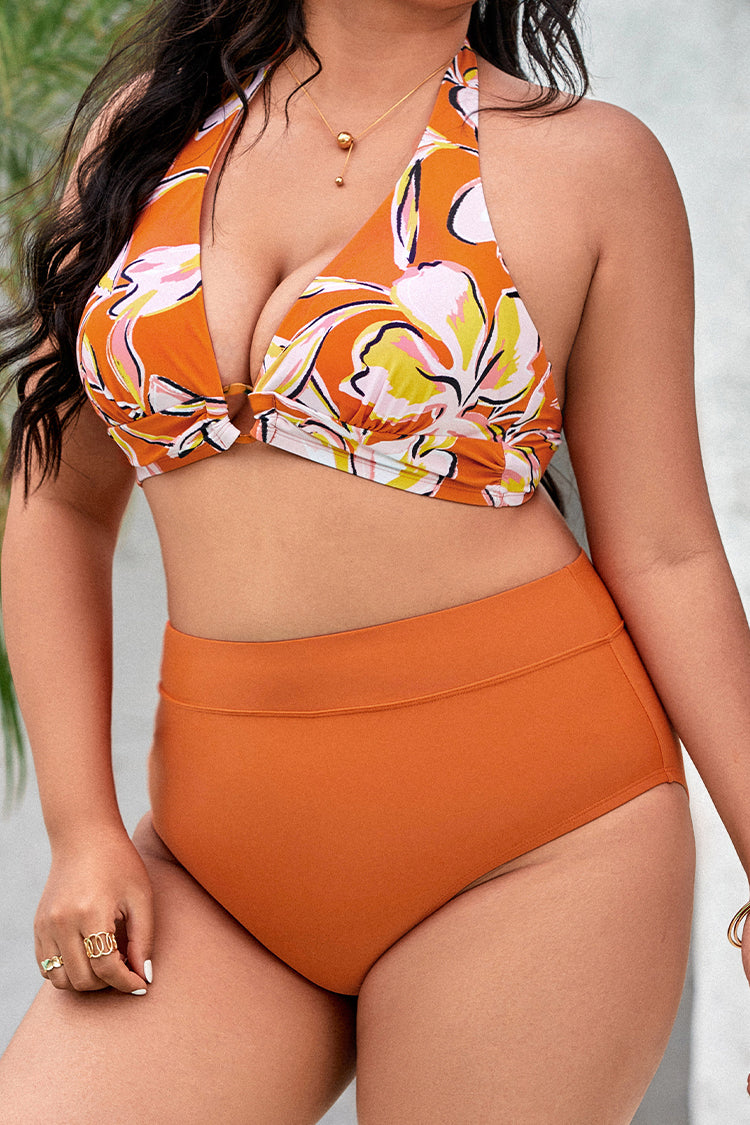 Strawberry Fields Halter High Waist Tummy Control Plus Bikini
